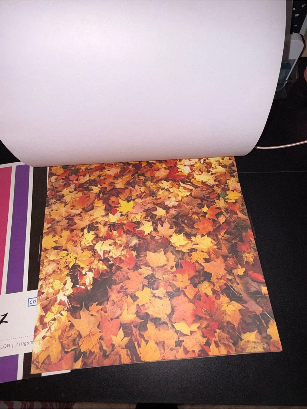 Primary Pizazz & Holidays 12x12 Designer Paper Pack Duo - Bright Multicolor